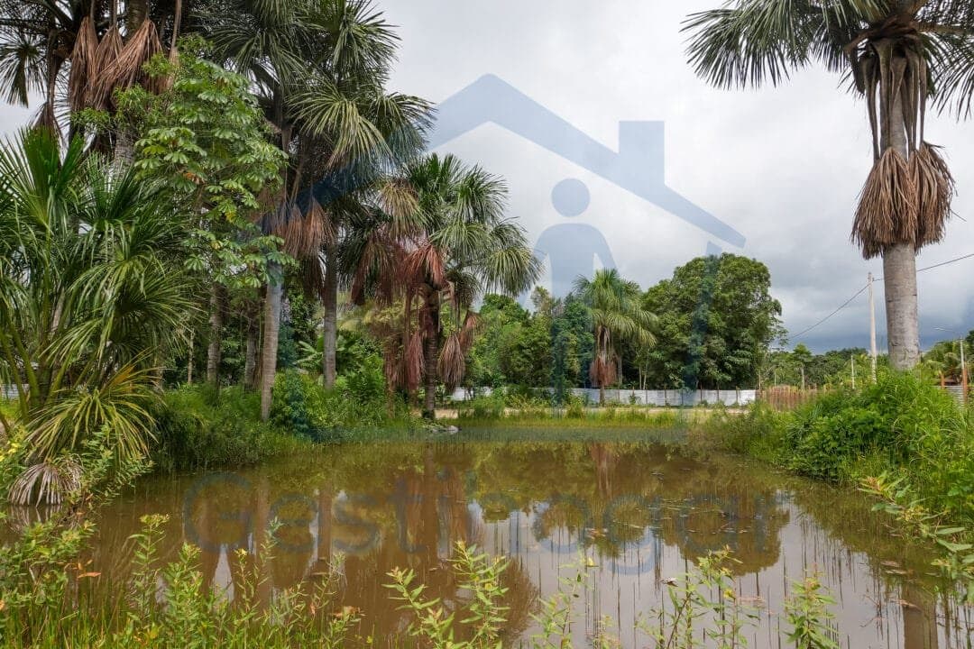 ¡𝐆𝐑𝐀𝐍 𝐎𝐏𝐎𝐑𝐓𝐔𝐍𝐈𝐃𝐀𝐃!!! 𝐓𝐄𝐑𝐑𝐄𝐍𝐎 𝐃𝐄 𝟐𝟔𝟓𝟎 𝐌𝟐 𝐂𝐎𝐍 𝐏𝐈𝐒𝐂𝐈𝐆𝐑𝐀𝐍𝐉𝐀, 𝐀 𝟑 𝐂𝐃𝐑𝐀. 𝐃𝐄 𝐋𝐀 𝐂.𝐅.𝐁. 𝐄𝐍 𝐕𝐄𝐍𝐓𝐀 – 𝐏𝐔𝐂𝐀𝐋𝐋𝐏𝐀